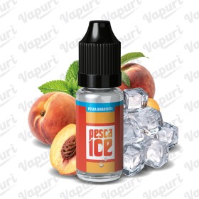PESCA ICE Minishot 10+10