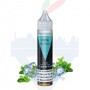 ARTIC RE-BRAND MINI MIX 10ml/20