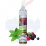 BERRY AND MINT Mini Mix 10ml/20