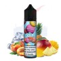 JOLY - FLAVORART - 20+40
