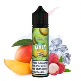 Vapuri S.r.l.s.|FLAVOURART