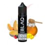 VISIONS - BLAQ - 20+40