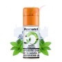 MENTOLO - Aroma Concentrato 10ml - FlavourArt
