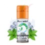 XTRA MINT - Aroma Concentrato 10ml - FlavourArt