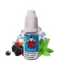 HEISENBERG - Aroma Concentrato 10ml - Vampire Vape